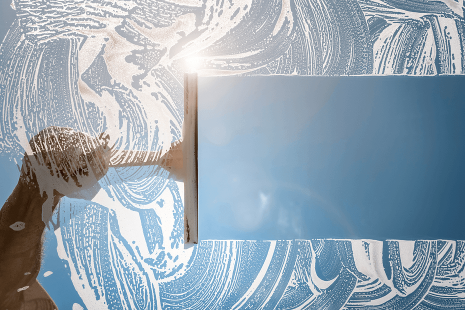 Hire Palmetto Services to deep-clean your windows.